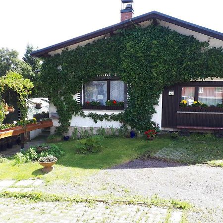 Ferienwohnung Kupfer Schmiedefeld am Rennsteig Zewnętrze zdjęcie