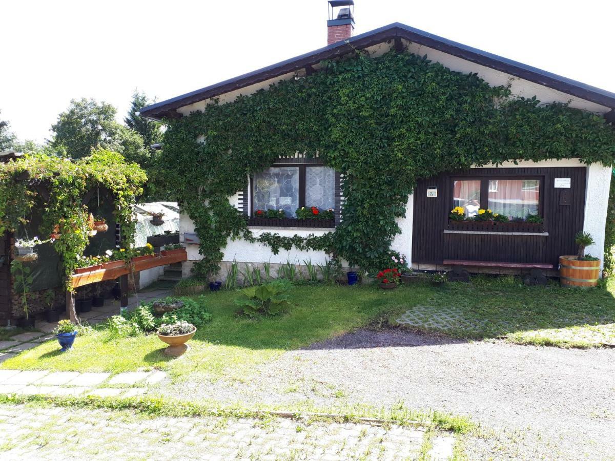 Ferienwohnung Kupfer Schmiedefeld am Rennsteig Zewnętrze zdjęcie